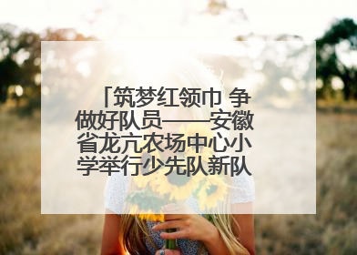 筑梦红领巾 争做好队员——安徽省龙亢农场中心小学举行少先队新队员入队仪式