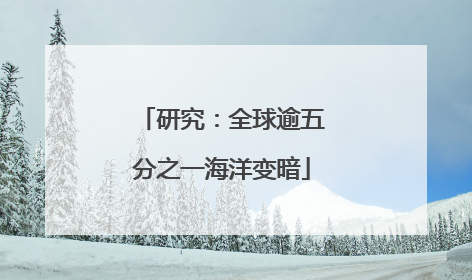 研究：全球逾五分之一海洋变暗