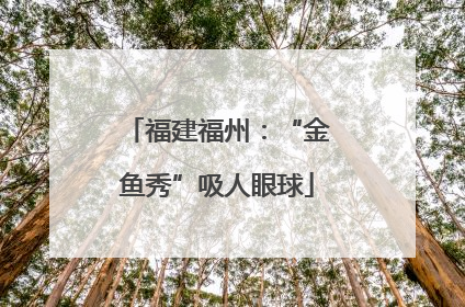 福建福州：“金鱼秀”吸人眼球