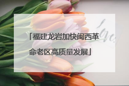 福建龙岩加快闽西革命老区高质量发展