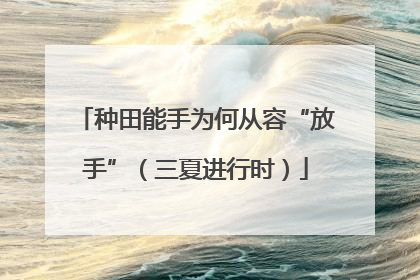 种田能手为何从容“放手”（三夏进行时）