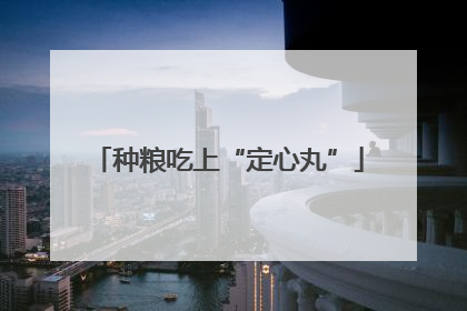 种粮吃上“定心丸”
