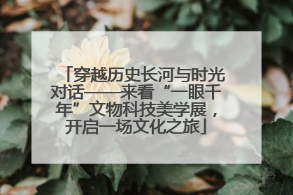 穿越历史长河与时光对话——来看“一眼千年”文物科技美学展，开启一场文化之旅