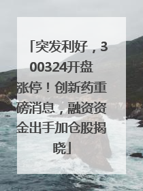 突发利好，300324开盘涨停！创新药重磅消息，融资资金出手加仓股揭晓