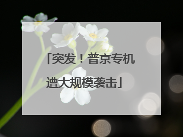 突发！普京专机遭大规模袭击