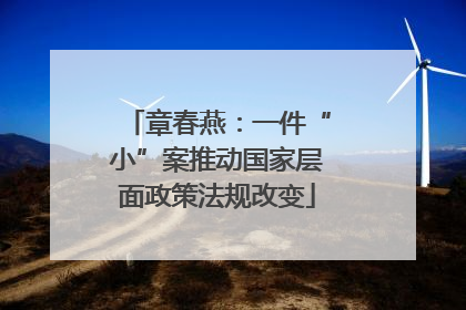 章春燕：一件“小”案推动国家层面政策法规改变