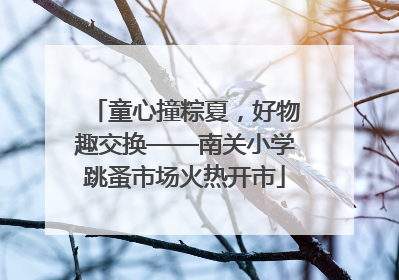 童心撞粽夏，好物趣交换——南关小学跳蚤市场火热开市