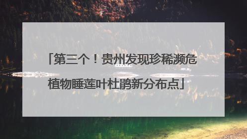 第三个！贵州发现珍稀濒危植物睡莲叶杜鹃新分布点