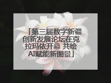 第三届数字新疆创新发展论坛在克拉玛依开幕 共绘AI赋能新图景