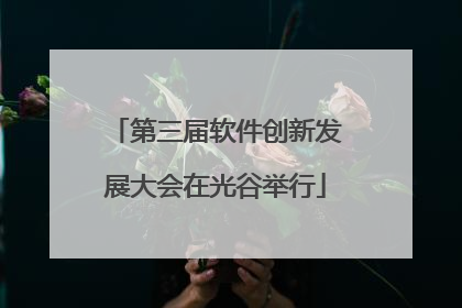 第三届软件创新发展大会在光谷举行