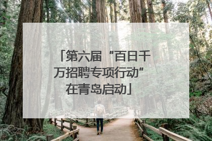 第六届“百日千万招聘专项行动”在青岛启动