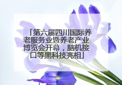 第六届四川国际养老服务业暨养老产业博览会开幕，脑机接口等黑科技亮相