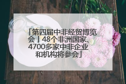 第四届中非经贸博览会丨48个非洲国家、4700多家中非企业和机构将参会