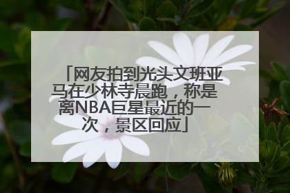 网友拍到光头文班亚马在少林寺晨跑，称是离NBA巨星最近的一次，景区回应