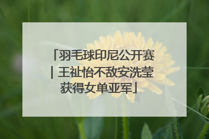 羽毛球印尼公开赛｜王祉怡不敌安洗莹 获得女单亚军