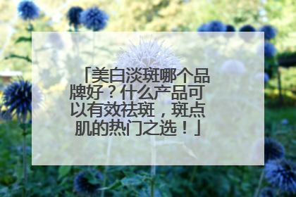 美白淡斑哪个品牌好？什么产品可以有效祛斑，斑点肌的热门之选！