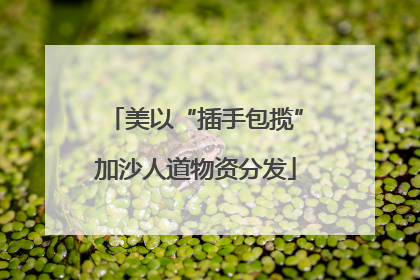 美以“插手包揽”加沙人道物资分发