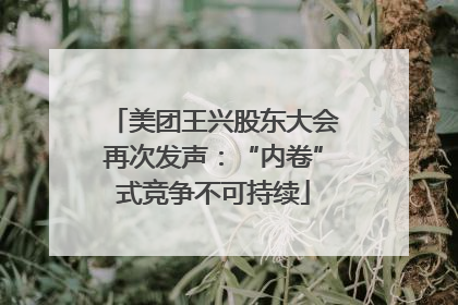 美团王兴股东大会再次发声：“内卷”式竞争不可持续