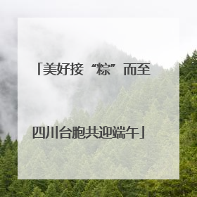 美好接“粽”而至 四川台胞共迎端午