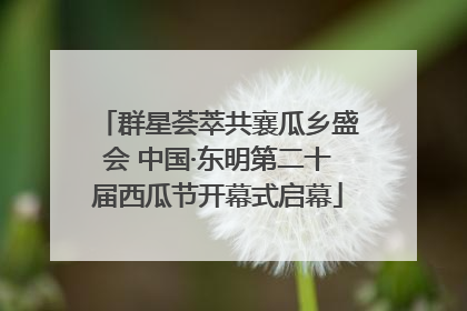 群星荟萃共襄瓜乡盛会 中国·东明第二十届西瓜节开幕式启幕
