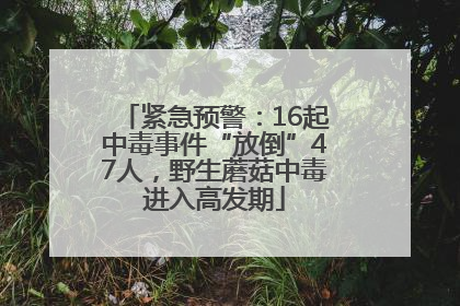 紧急预警：16起中毒事件“放倒”47人，野生蘑菇中毒进入高发期