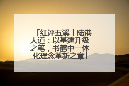 红评五溪丨陆港大道：以基建升级之笔，书鹤中一体化理念革新之章