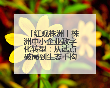 红观株洲丨株洲中小企业数字化转型：从试点破局到生态重构的进阶之路
