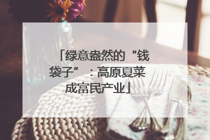 绿意盎然的“钱袋子”：高原夏菜成富民产业