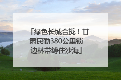 绿色长城合拢！甘肃民勤380公里锁边林带缚住沙海