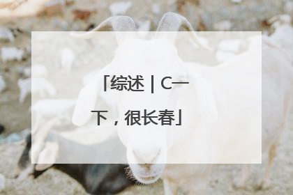 综述｜C一下，很长春
