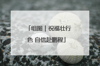 组图｜祝福壮行色 自信赴鹏程