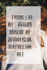 组图｜桂阳：荷花悄然绽放 碧波荷叶绘就美好夏日画卷