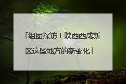 组团探访！陕西西咸新区这些地方的新变化