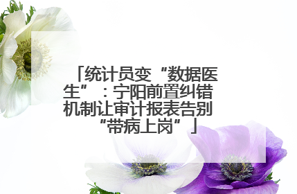 统计员变“数据医生”：宁阳前置纠错机制让审计报表告别“带病上岗”