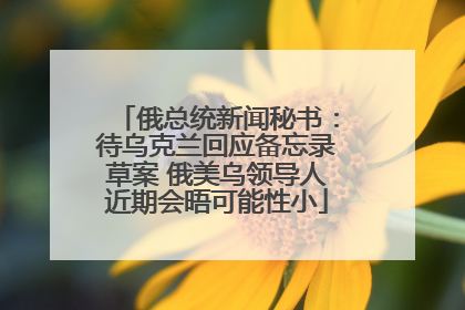俄总统新闻秘书：待乌克兰回应备忘录草案 俄美乌领导人近期会晤可能性小