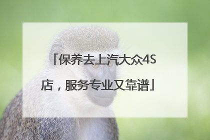 保养去上汽大众4S店，服务专业又靠谱