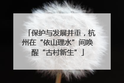 保护与发展并重，杭州在“依山理水”间唤醒“古村新生”
