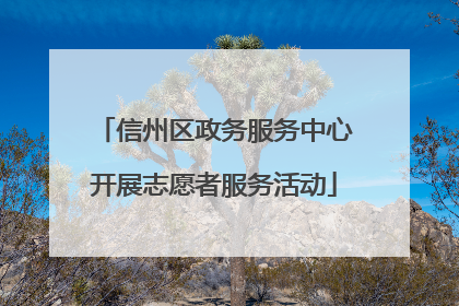 信州区政务服务中心开展志愿者服务活动