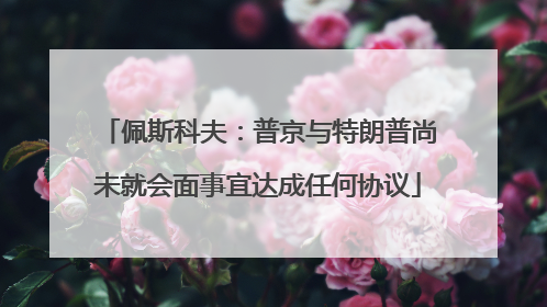 佩斯科夫：普京与特朗普尚未就会面事宜达成任何协议