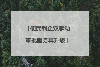便民利企双驱动 审批服务再升级
