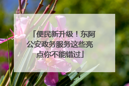 便民新升级！东阿公安政务服务这些亮点你不能错过