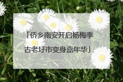 侨乡南安开启杨梅季 古老圩市变身嘉年华