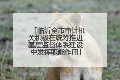 临沂全市审计机关积极在统筹推进基层监督体系建设中发挥职能作用