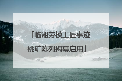 临湘劳模工匠事迹桃矿陈列揭幕启用