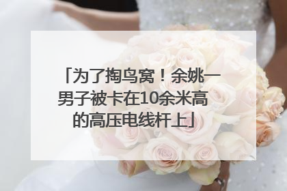 为了掏鸟窝！余姚一男子被卡在10余米高的高压电线杆上