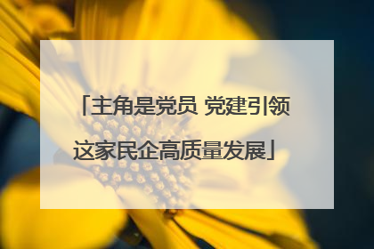 主角是党员 党建引领这家民企高质量发展