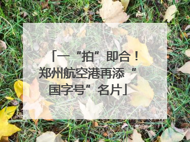 一“拍”即合！郑州航空港再添“国字号”名片
