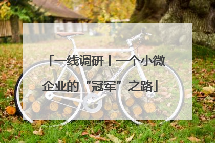 一线调研丨一个小微企业的“冠军”之路
