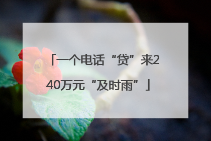 一个电话“贷”来240万元“及时雨”