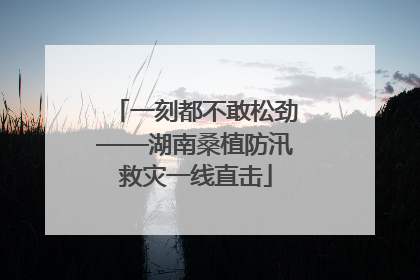 一刻都不敢松劲——湖南桑植防汛救灾一线直击